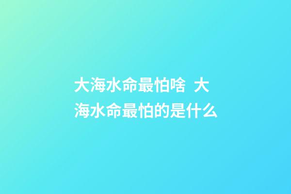 大海水命最怕啥  大海水命最怕的是什么